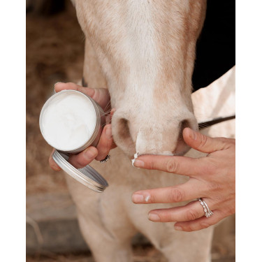 Sunblock Grooming Deluxe de Kentucky Sunblock Grooming Deluxe de Kentucky