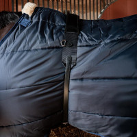 Cinchón de paseo Kentucky de nailon Negro Cinchón de paseo Kentucky de nailon Negro