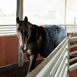 Cinchón de paseo Kentucky de nailon Negro