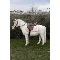 Manta de montar Kentucky Unicornio con purpurina Rosa pálido