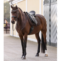 Bonete antimoscas Nepal Waldhausen Negro