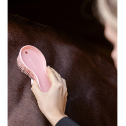 Cepillo Waldhausen Todo-en-uno Gris / rosa Cepillo Waldhausen Todo-en-uno Gris / rosa