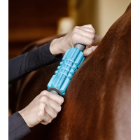 Rodillos de masaje Waldhausen Health + Care Azul