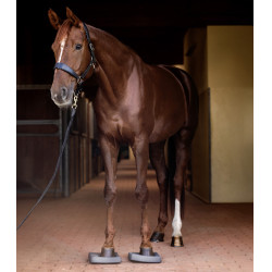 Plantillas Waldhausen Health + Care Balance Gris Plantillas Waldhausen Health + Care Balance Gris