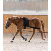 Vendaje corporal Waldhausen para la grupa Negro Vendaje corporal Waldhausen para la grupa Negro