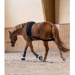 Vendaje corporal Waldhausen para la grupa Negro Vendaje corporal Waldhausen para la grupa Negro