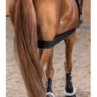 Vendaje corporal Waldhausen para la grupa Negro Vendaje corporal Waldhausen para la grupa Negro