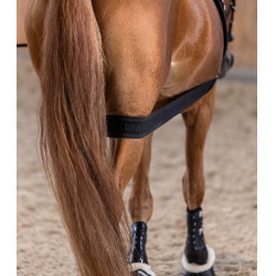 Vendaje corporal Waldhausen para la grupa Negro Vendaje corporal Waldhausen para la grupa Negro