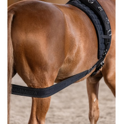 Vendaje corporal Waldhausen para la grupa Negro Vendaje corporal Waldhausen para la grupa Negro