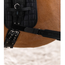 Vendaje corporal Waldhausen para la grupa Negro Vendaje corporal Waldhausen para la grupa Negro