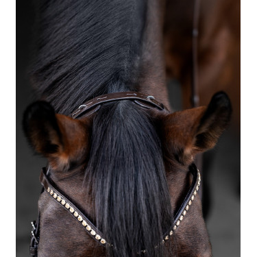 Brida Waldhausen X-Line Relaxation muserola anatómica Castaño Marrón Brida Waldhausen X-Line Relaxation muserola anatómica Castaño Marrón