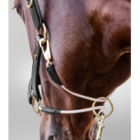 Cabezada de cuero Waldhausen S-Line Royal Negro