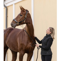 Cabezada de cuero Waldhausen S-Line Royal Negro