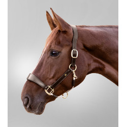 Cabezada de cuero Waldhausen S-Line Royal Castaño Marrón