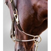 Cabezada de cuero Waldhausen S-Line Royal Negro