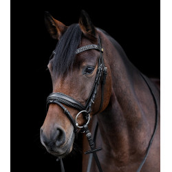 Brida barnizada Waldhausen S-Line Blackshine muserola combinada pull back Negro Brida barnizada Waldhausen S-Line Blackshine muserola combinada pull back Negro