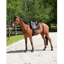 Alfombra GEM Love Negro / verde