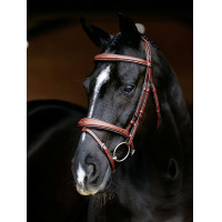 Brida LeMieux Competencia Flash Castaño Marrón Brida LeMieux Competencia Flash Castaño Marrón