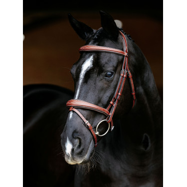 Brida LeMieux Competencia Flash Castaño Marrón Brida LeMieux Competencia Flash Castaño Marrón