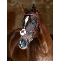 Brida LeMieux Grackle Castaño Marrón