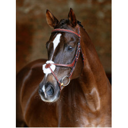 Brida LeMieux Grackle Castaño Marrón