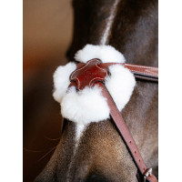 Brida LeMieux Grackle Havana Marrón Brida LeMieux Grackle Havana Marrón