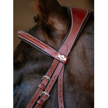 Brida LeMieux Grackle Castaño Marrón
