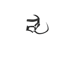Cabezada con muserola cruzada LeMieux Toy Pony Negro