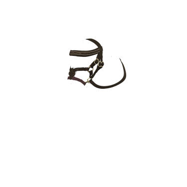 Cabezada con muserola cruzada LeMieux Toy Pony Castaño Marrón