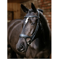 Brida con muserola dividida Arika LeMieux Negro
