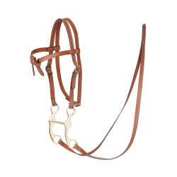 Brida western Hobby Horse LeMieux