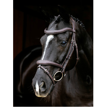 Bridon LeMieux Flash Contour Kudos Castaño Marr&amp;amp;amp;oacute;n