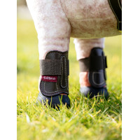 Guetres Capella LeMieux Toy Pony Castaño Marr&amp;oacute;n