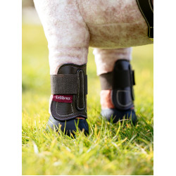 Guetres Capella LeMieux Toy Pony Castaño Marr&amp;oacute;n