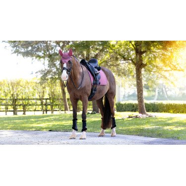 Tapis de dressage LeMieux Essence Square Palisandro Rosa Tapis de dressage LeMieux Essence Square Palisandro Rosa
