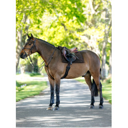 Manta de silla Pillow LeMieux Castaño Marr&amp;amp;amp;oacute;n