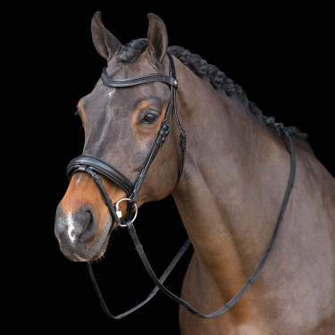 Brida con muserola inglesa Imperial Riding Brida con muserola inglesa Imperial Riding