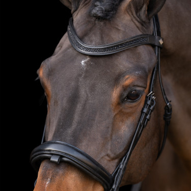 Brida con muserola inglesa Imperial Riding Brida con muserola inglesa Imperial Riding