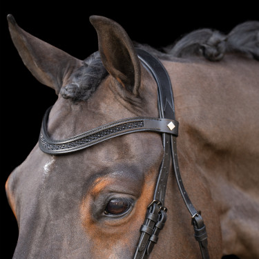 Brida con muserola inglesa Imperial Riding Brida con muserola inglesa Imperial Riding