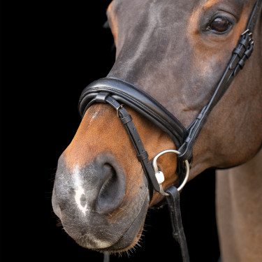 Brida con muserola inglesa Imperial Riding Brida con muserola inglesa Imperial Riding