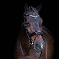 Brida con muserola inglesa Imperial Riding Negro / negro