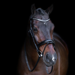 Brida con muserola inglesa Imperial Riding Negro / crystal Brida con muserola inglesa Imperial Riding Negro / crystal