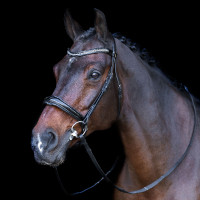 Brida con muserola inglesa Imperial Riding Negro / crystal Brida con muserola inglesa Imperial Riding Negro / crystal