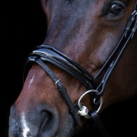 Brida con muserola inglesa Imperial Riding Negro / negro