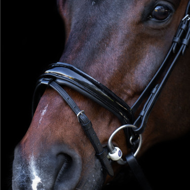 Brida con muserola inglesa Imperial Riding Negro / crystal Brida con muserola inglesa Imperial Riding Negro / crystal