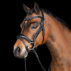 Brida Imperial Riding Pequeño