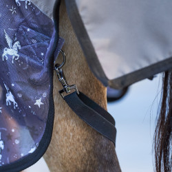 Cubre-moscas e impermeable Imperial Riding Super-dry AOP Polvo de hada gris AOP Motifs