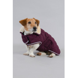 Capa para perro Harcour Rocket