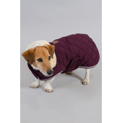 Capa para perro Harcour Rocket Violeta