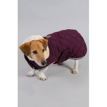 Capa para perro Harcour Rocket Violeta